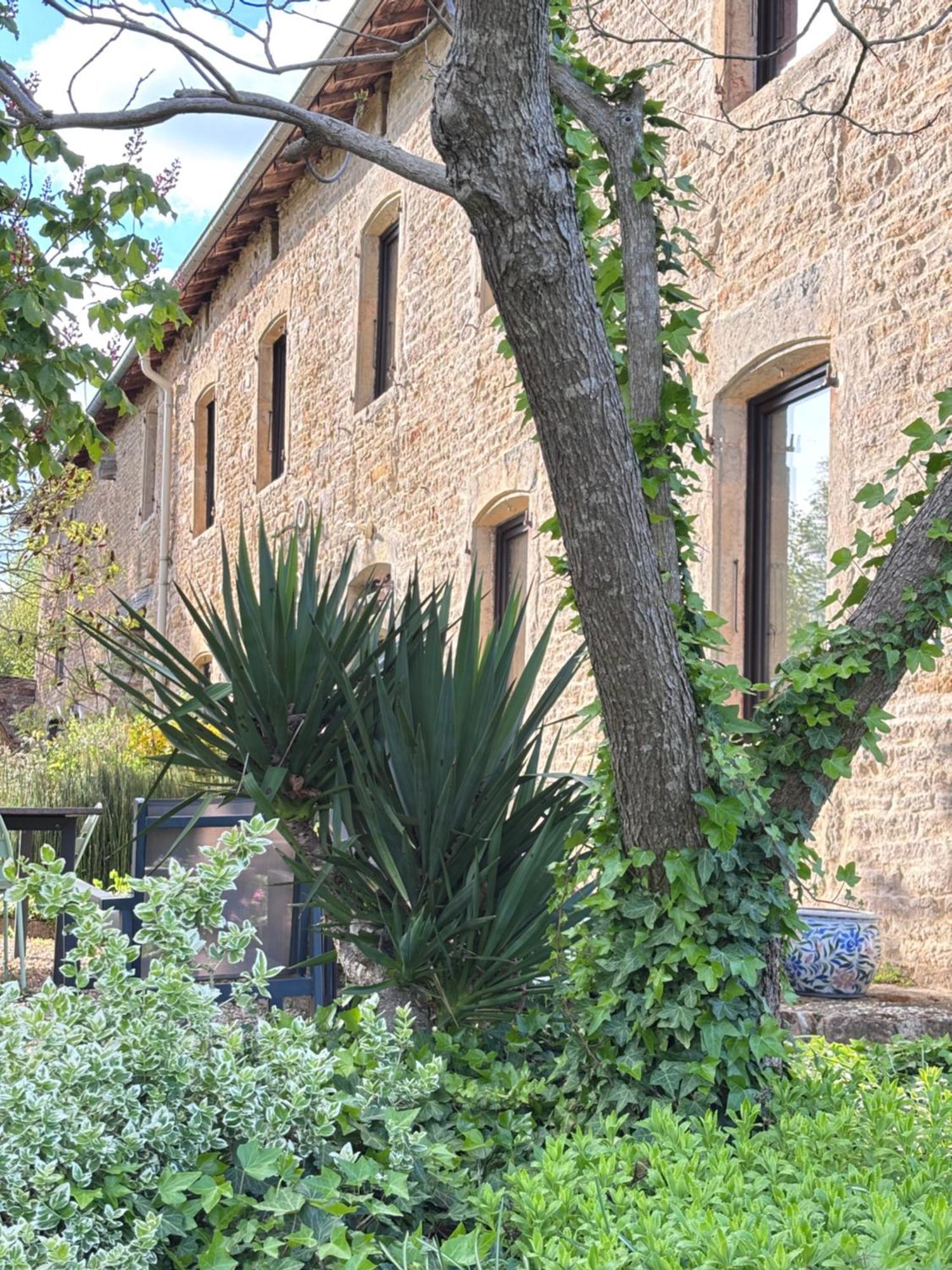 Domaine Du Vernay Mazille Exterior photo